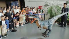 构成以场景驱动财产成长的良